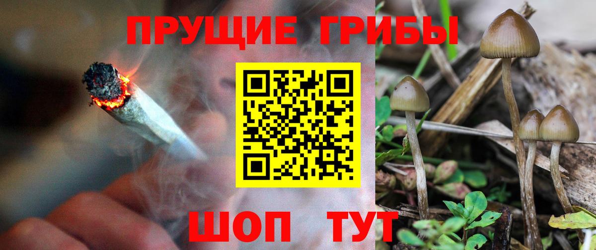 даркнет сайт  Псилоцибиновые грибы мухоморы  Вход с VPN  Алейск 